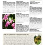 Fact Sheet Series: Invasive species in the US Virgin Islands